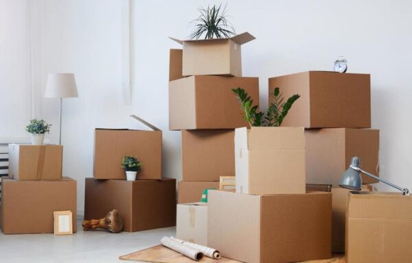 كراتين للبيع 15 مايو